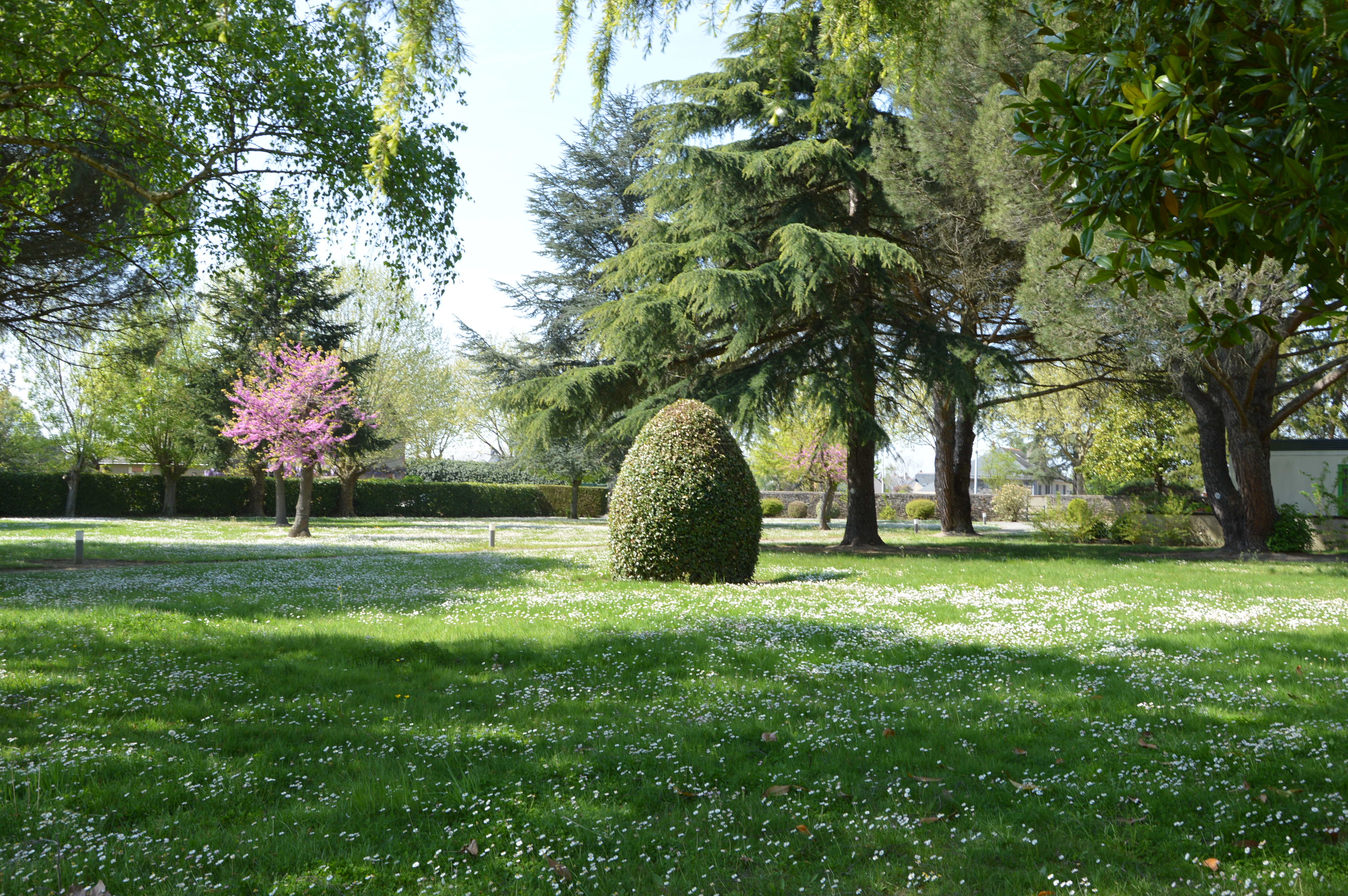 parc CESAME