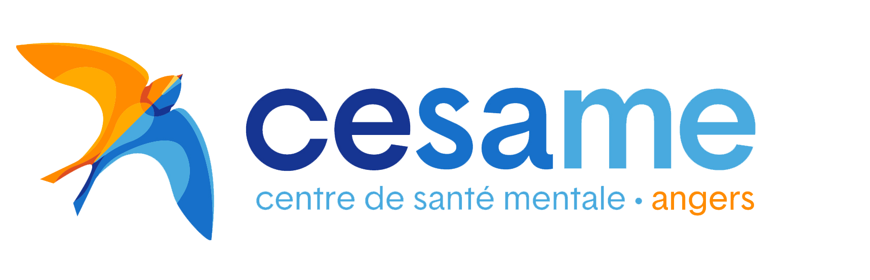 Centre de Santé Mentale Angers