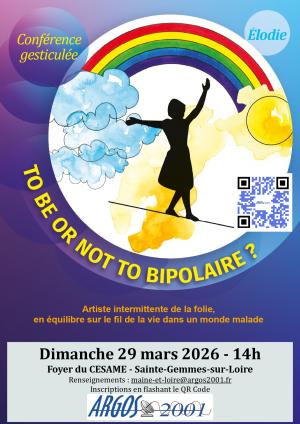 Conférence gesticulée